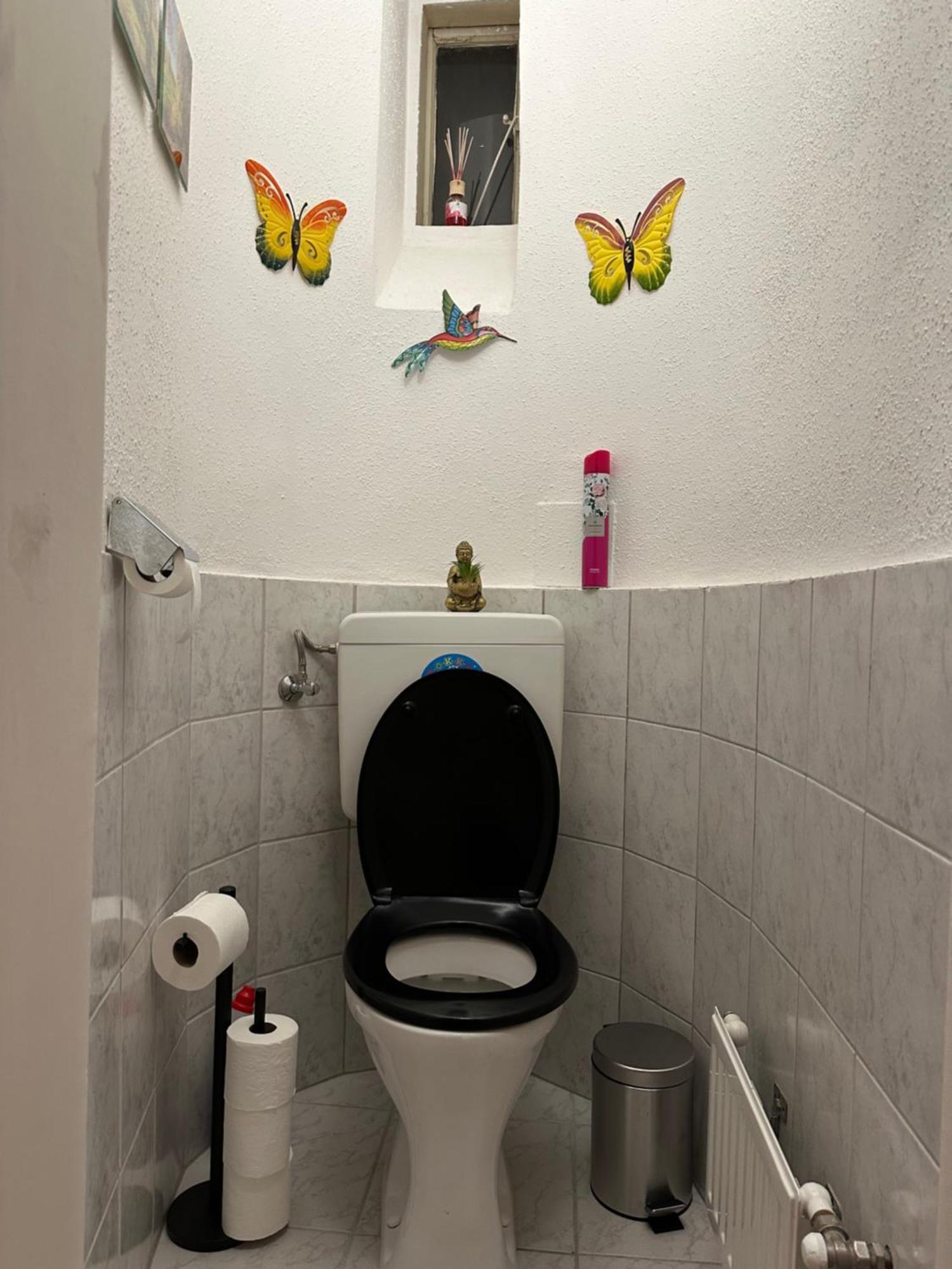 Klimatisierter Wiener Altbauflair Im Zentrum Wiens 外观 照片